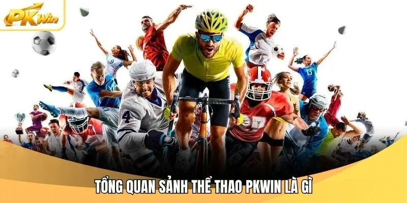Tổng quan sảnh thể thao Pkwin là gì